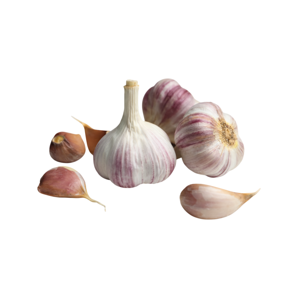 Garlic (लहसुन)