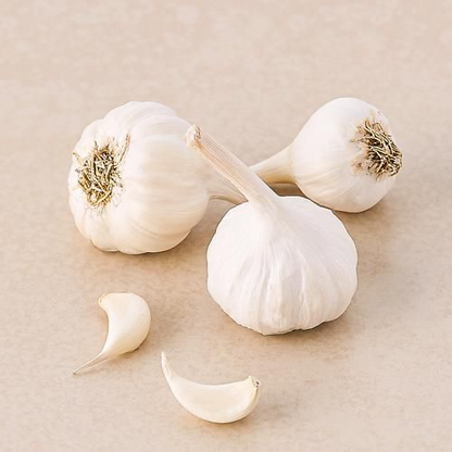 Garlic (लहसुन)
