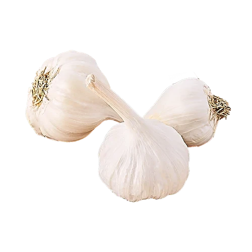 Garlic (लहसुन)