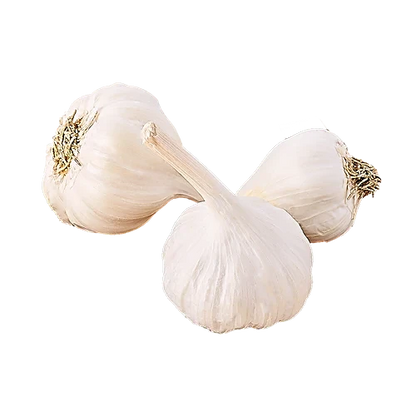Garlic (लहसुन)