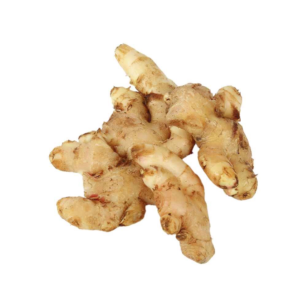 Ginger (अदरक)