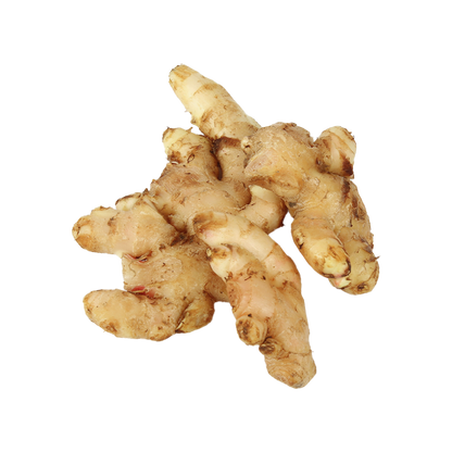 Ginger (अदरक)