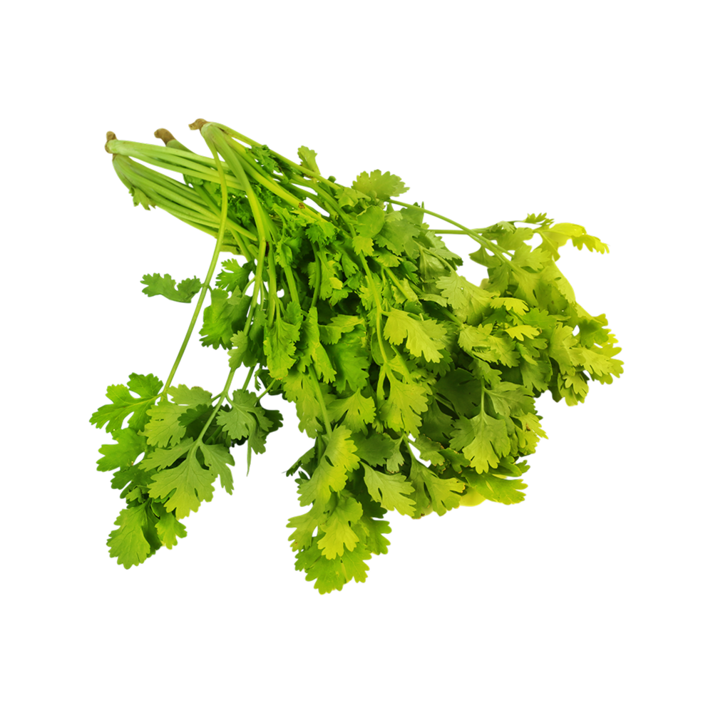 Coriander (धनिया)