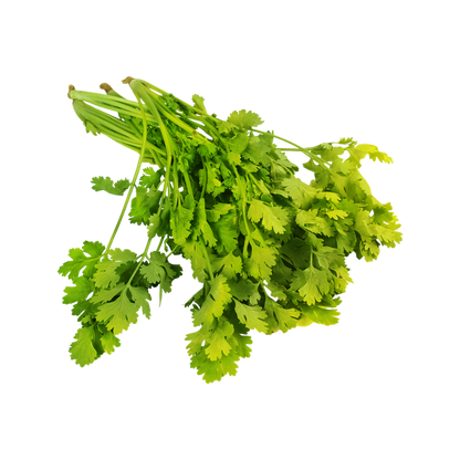 Coriander (धनिया)